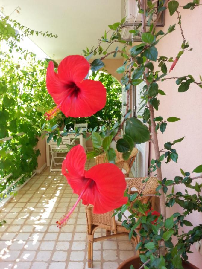 Apartments Irena Vodice Luaran gambar